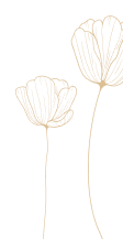 vector